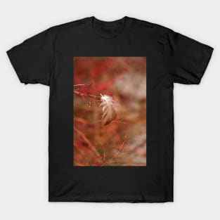 Captured Feather T-Shirt